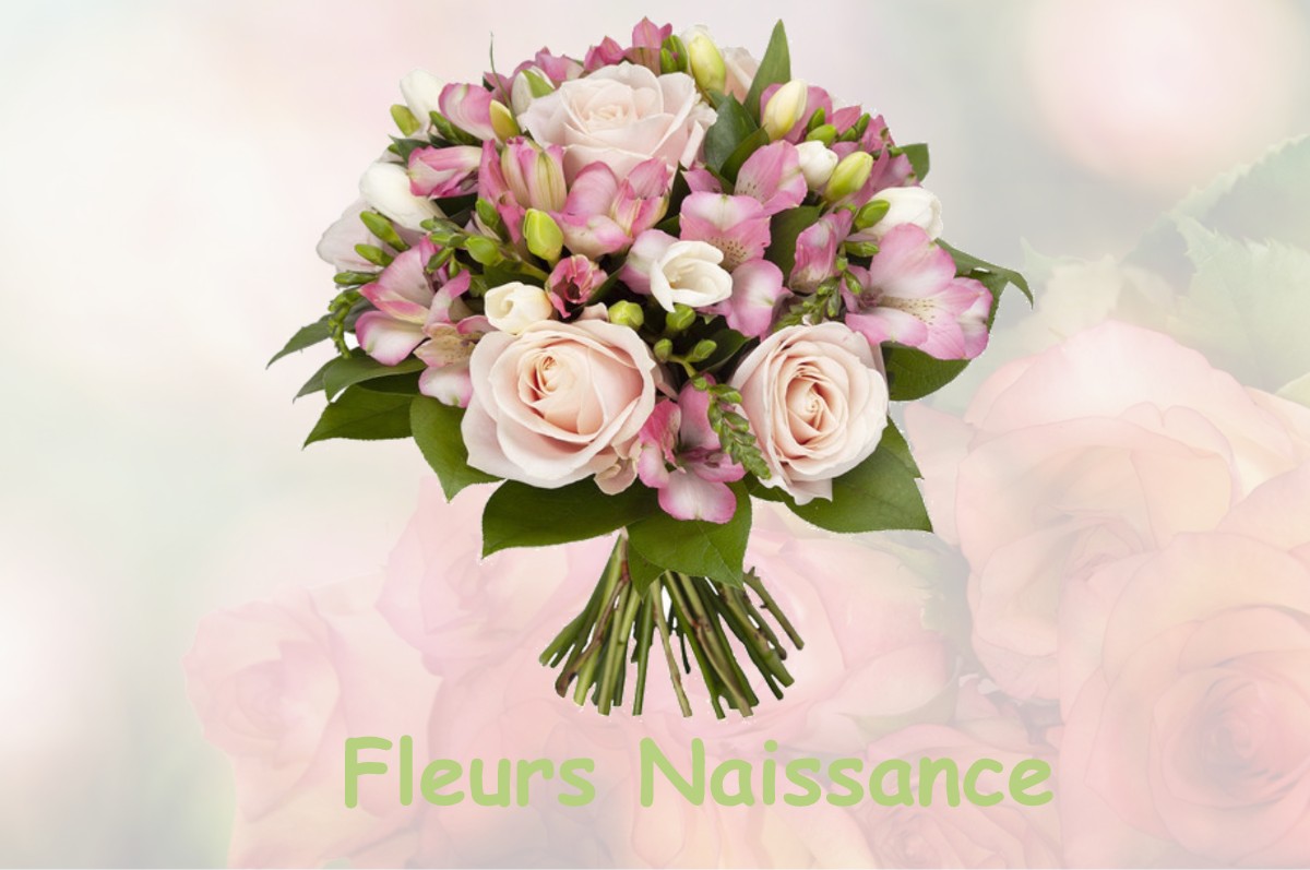 fleurs naissance PENOL