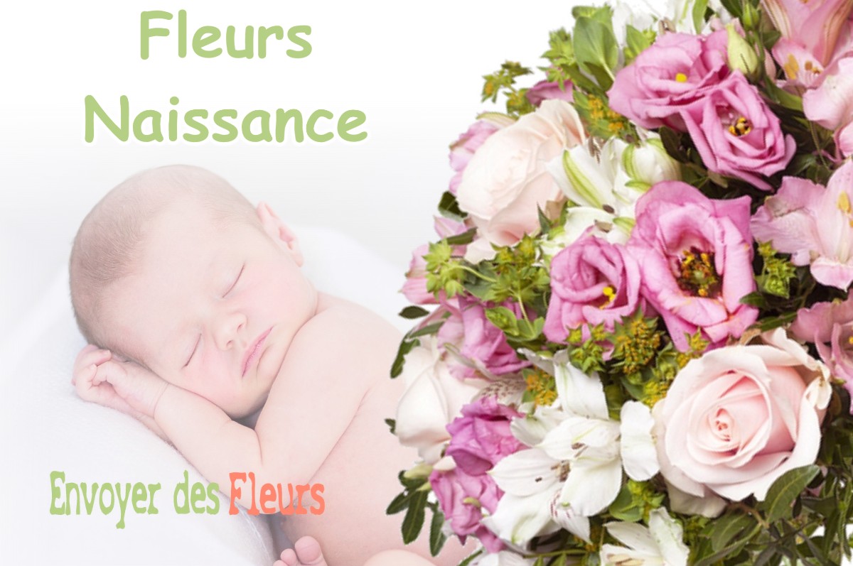 lIVRAISON FLEURS NAISSANCE à PENOL